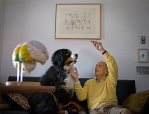 怎么去攻击一个网站与防护